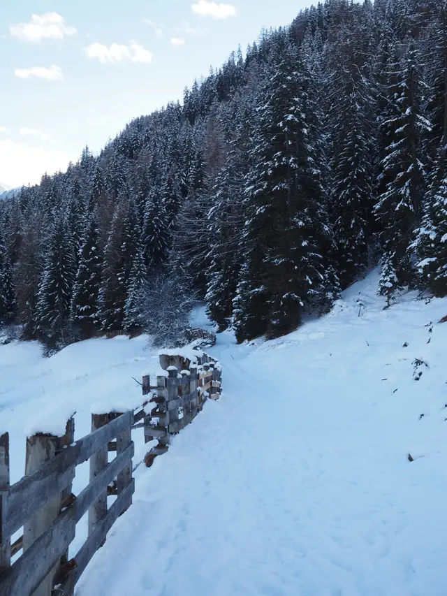 Serfaus-Fiss-Ladis — Snowy Path No 1 (145717157)