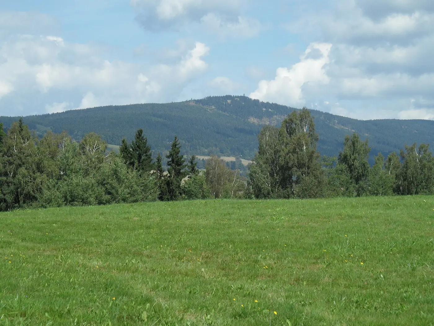 Dolní Morava — Pohled od K-S 5 U potoka C. Vrchol