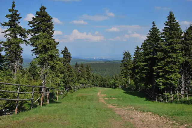 Klínovec — Sjezdovka pod Klínovcem - panoramio