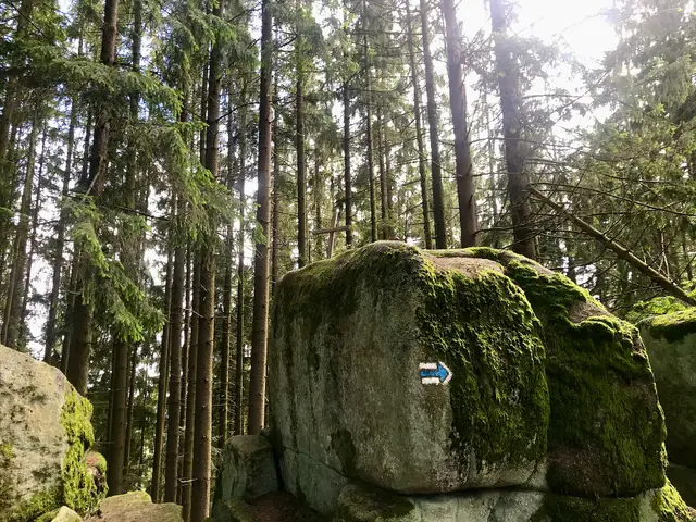 Lipno — Luč vrchol