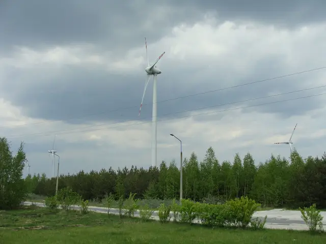 Góra Kamieńsk — Wind turbines in Kamieńsk 4