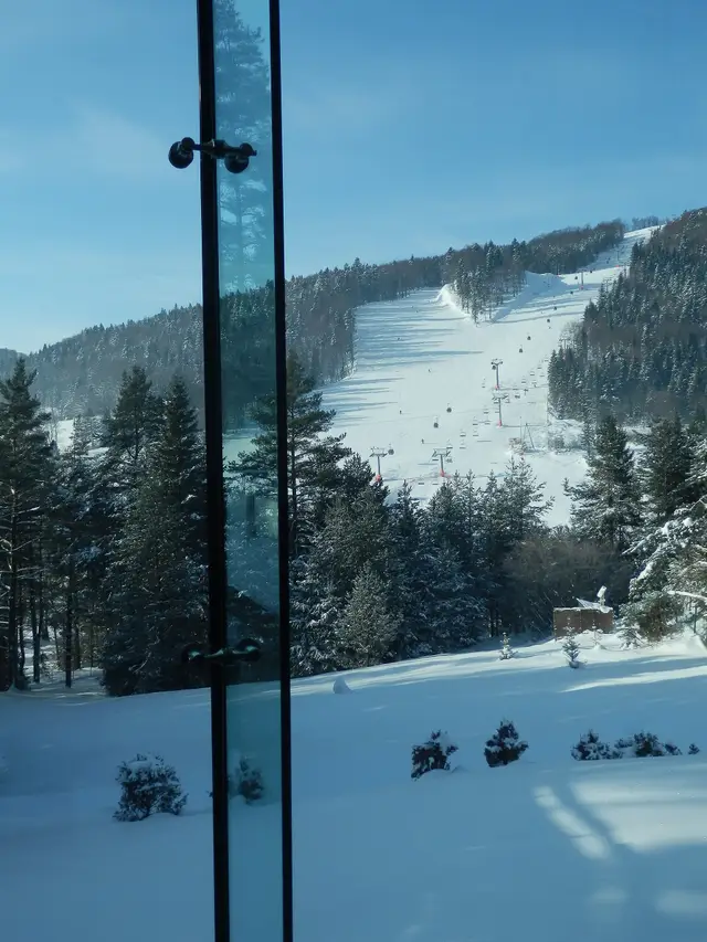 Jaworzyna Krynicka — Krynica - widok z basenu hotelu dr Eris na wyciąg - panoramio