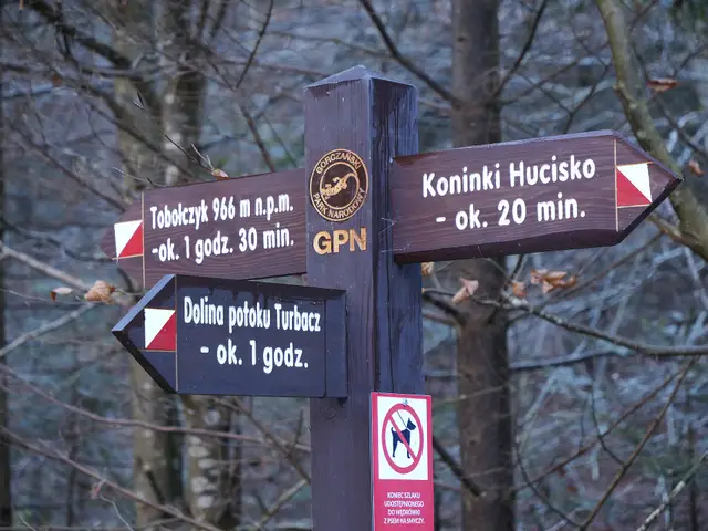 Koninki — Drogowskaz GPN Tobołczyk, Koninki Hucisko, Dolina potoku Turbacz