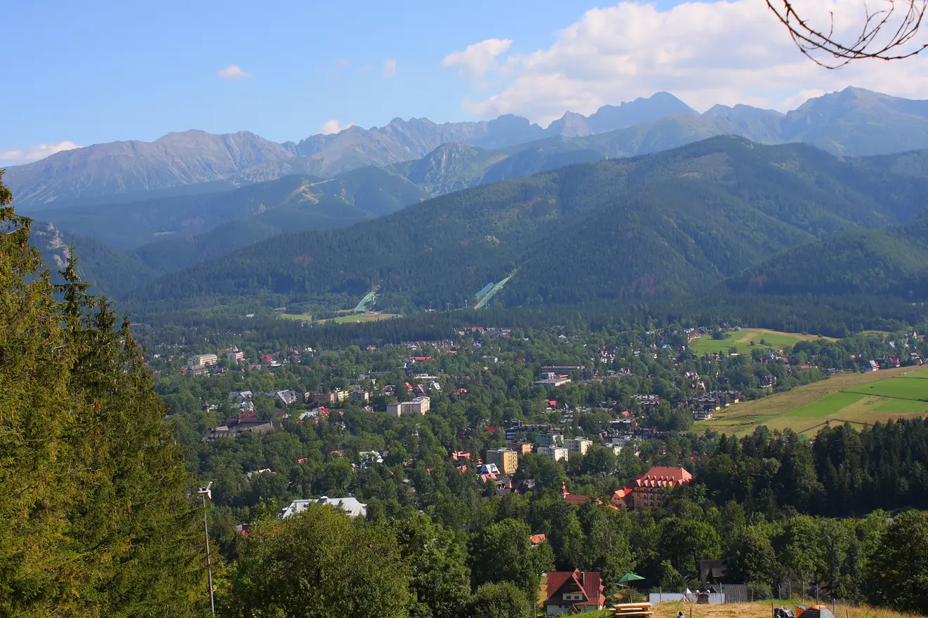 Polana Szymoszkowa — Panorama Zakopanego z Gubałówki - panoramio