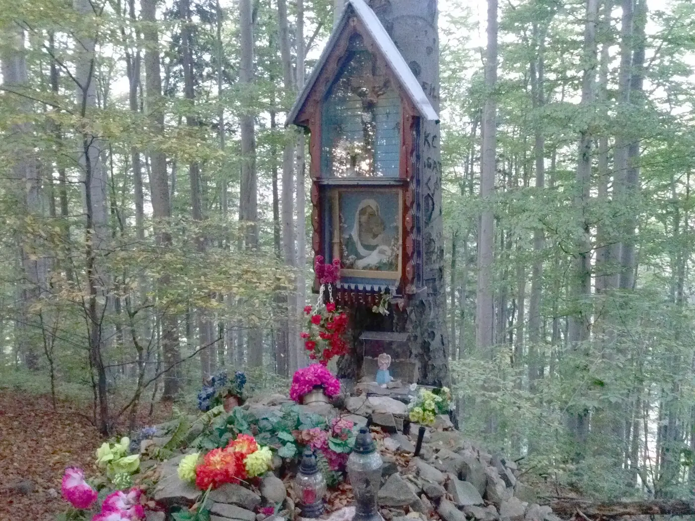 Ustroń — Zalesiony szczyt górski o wysokości 487 m n.p.m. w Beskidzie Śląskim w Ustroniu - panoramio