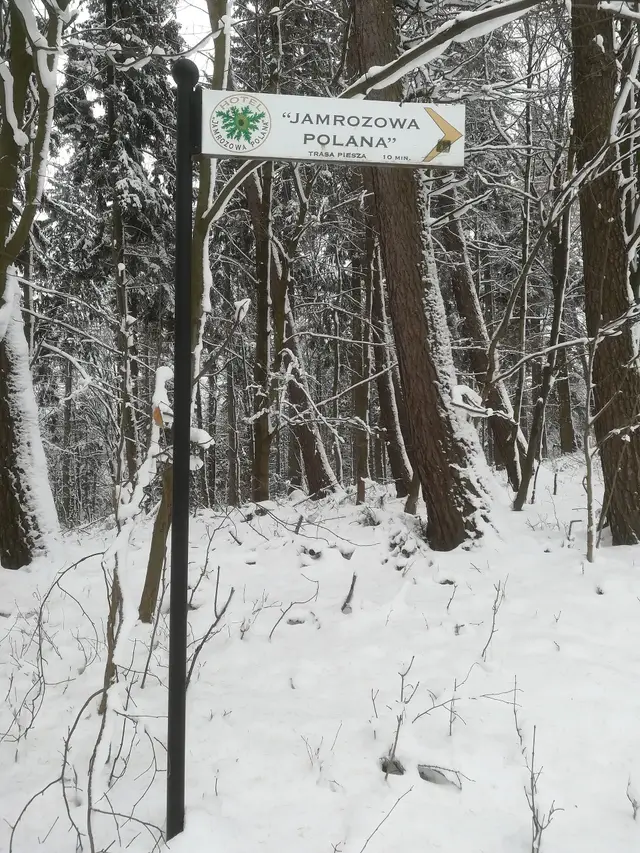 Zieleniec — Jamrozowa Polana winter (1)